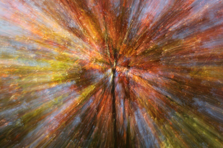 Fotografía titulada "Emotions végétales…" por François Tondeur, Obra de arte original, Fotografía no manipulada