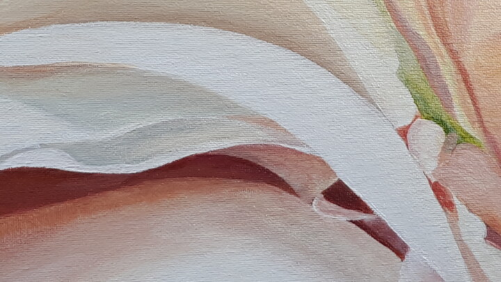 Additional views 3