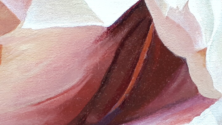 Additional views 6