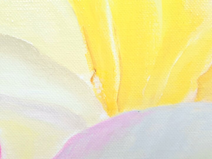 Additional views 2