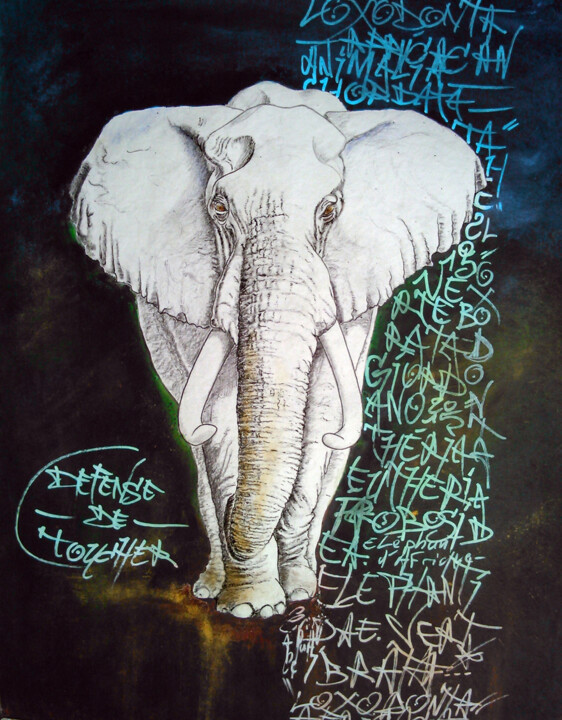 Loxodonta Africana 绘画, 18.9x14.2 in