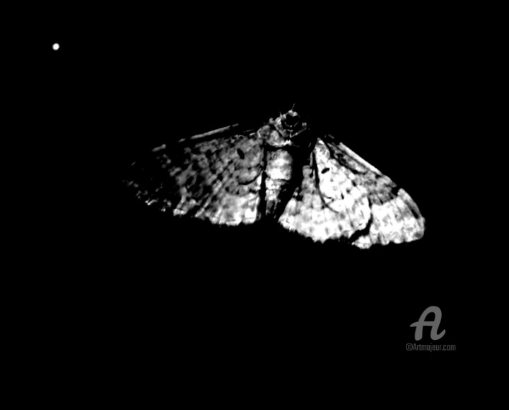 Darkness 摄影