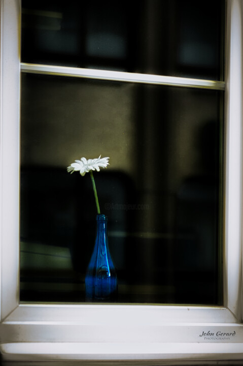 Blume am Fenster, Flower at the window 摄影