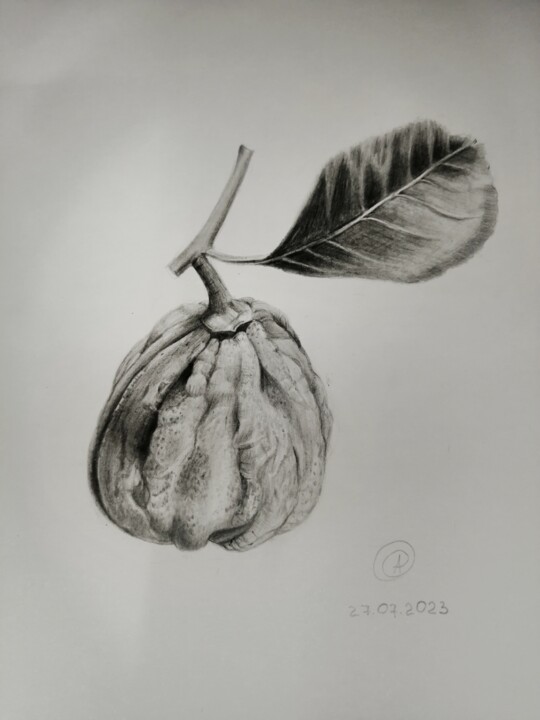 Химерный Лимон Disegno, 11,8x7,9 in