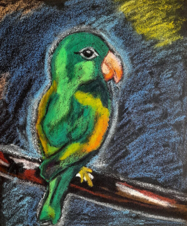 Parrot oil pastel drawing 绘画, 11x9.1 in