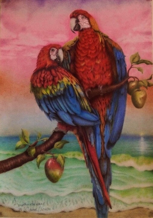 图画,  23.2x17.7 in 