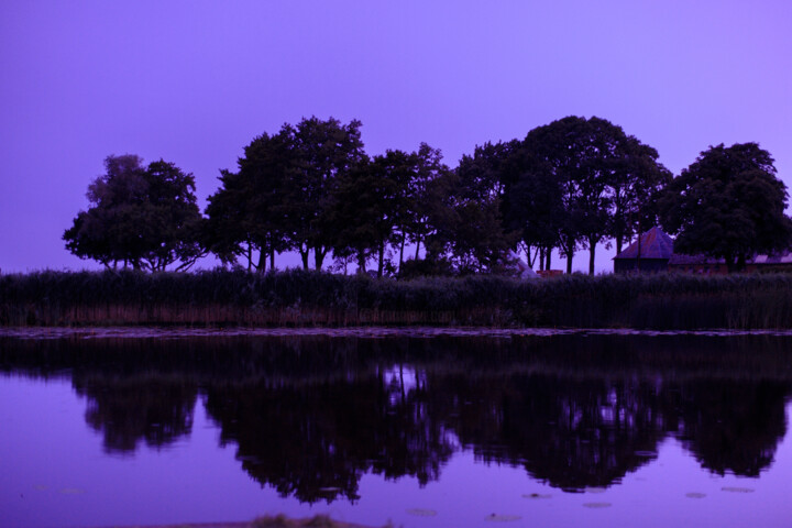 Purple sky 摄影