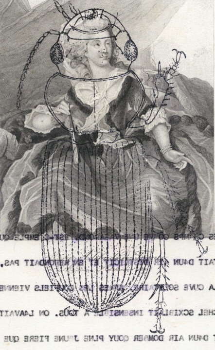 Détails