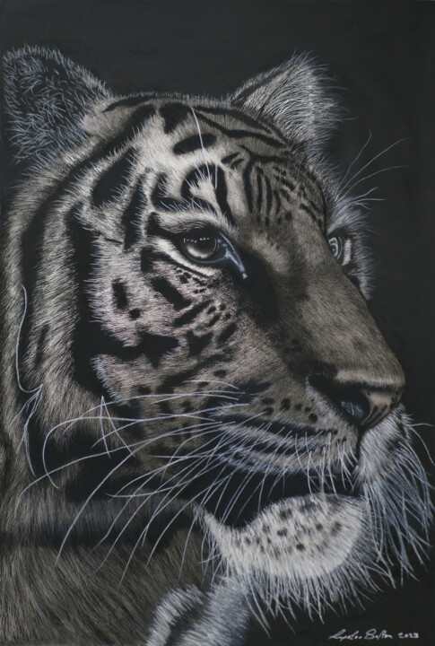 Regal Eye 图画, 22.5x17 in