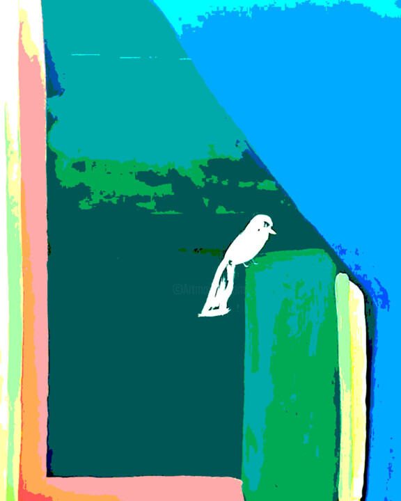 " Un oiseau d'après midi 1" Numérique. Prints 数字艺术