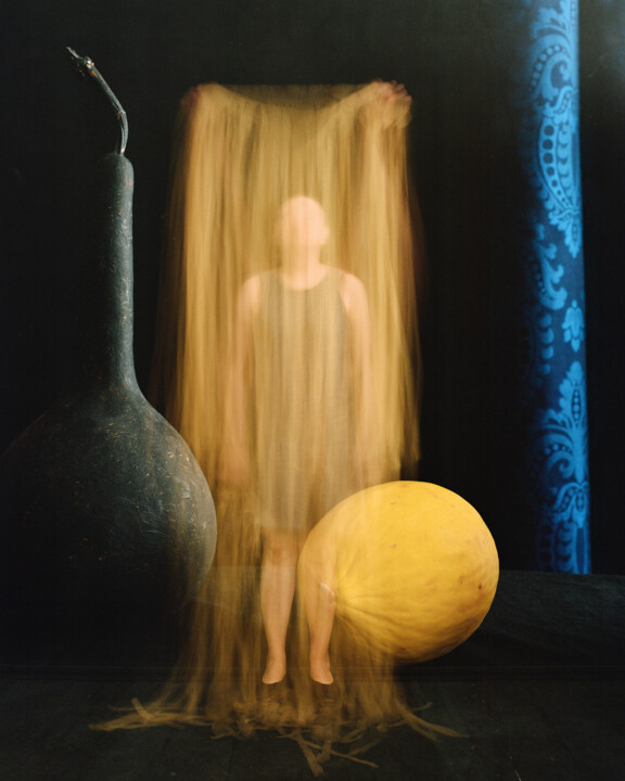 Photography,  19.7x15.8 in 