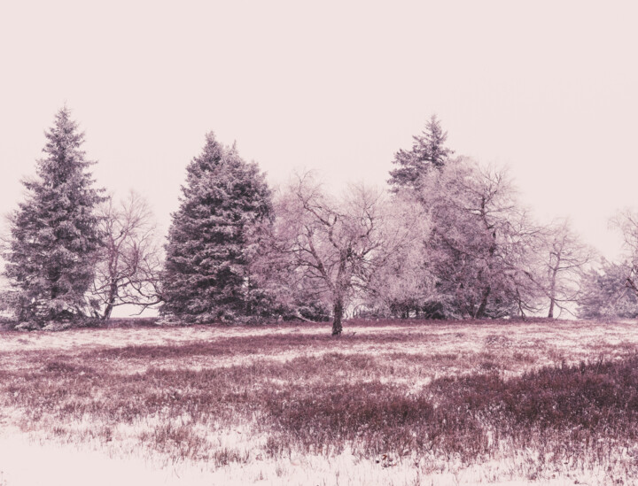 Winter Landscape Photography 2 Фотография