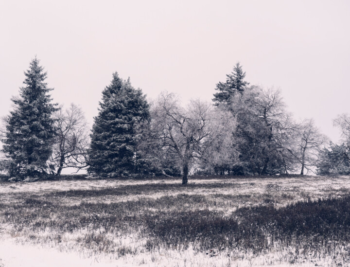Winter Landscape Photography 3 Фотография