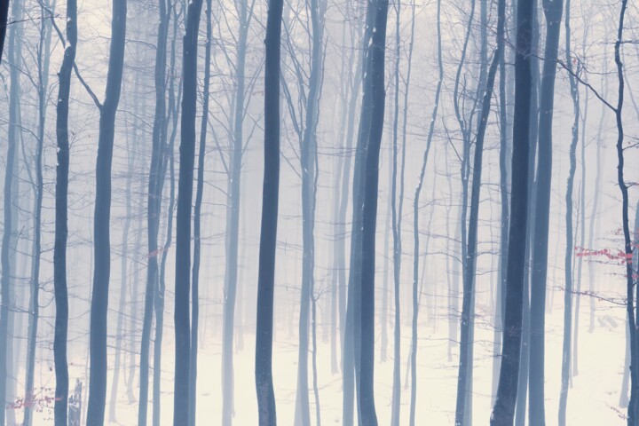 Winter Landscape Photography 6 Фотография