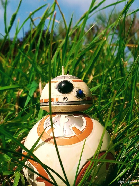 BB-8 in naboo 摄影