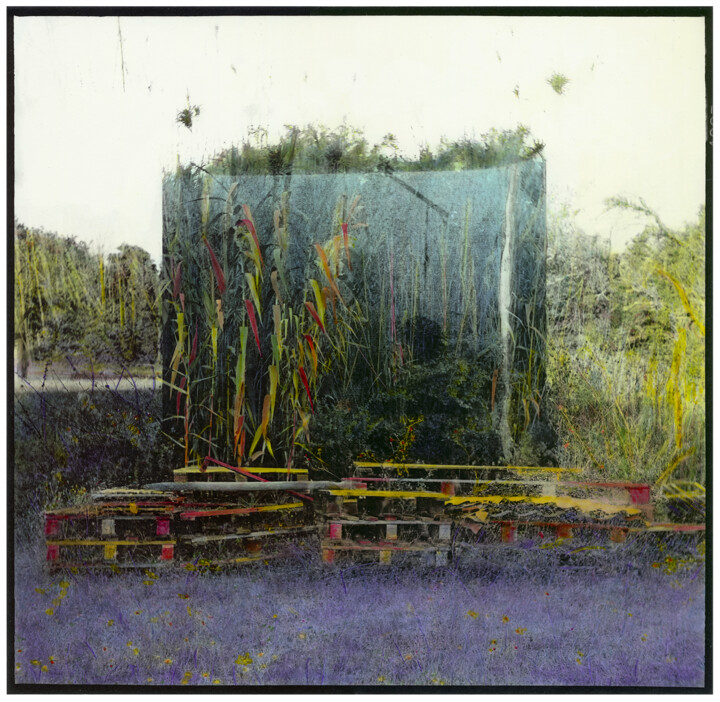 Kub 2001 摄影, 11x11.4 in