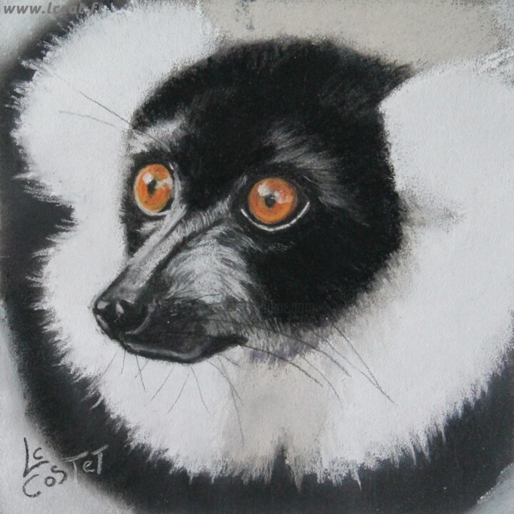 Peinture intitulée "Le vari noir et bla…" par Catherine Costet (Lccat), Œuvre d'art originale, Pastel