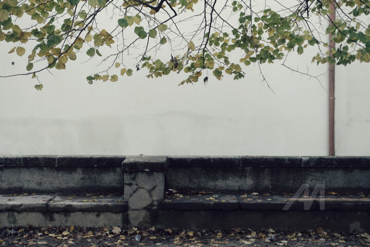 Photography titled "Waiting for a respo…" by Alen Gurovic, Original Artwork, Non Manipulated Photography