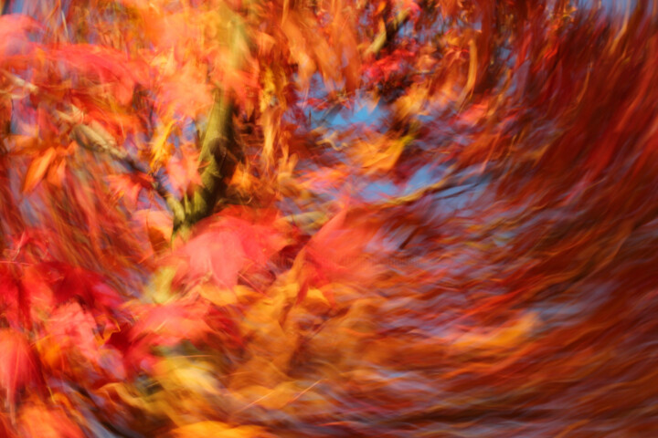 Fotografía titulada "Fête tourbillonnante" por François Tondeur, Obra de arte original, Fotografía no manipulada