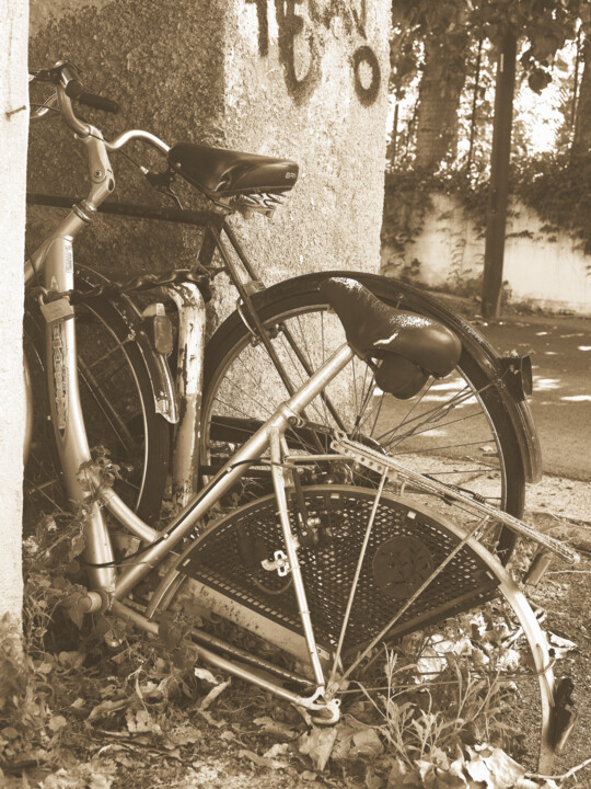 biciclette dimenticate 摄影