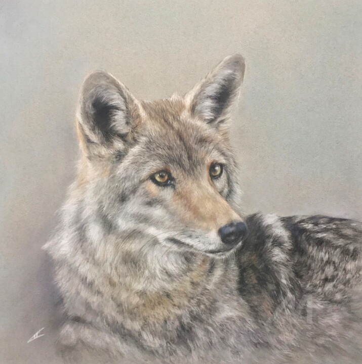 Young wolf 图画, 12.2x12.2 in