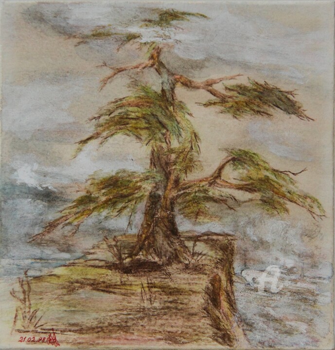 21, Pine, on the way to Antarctica, paper, colour pencils, 绘画, 7.1x6.9 in