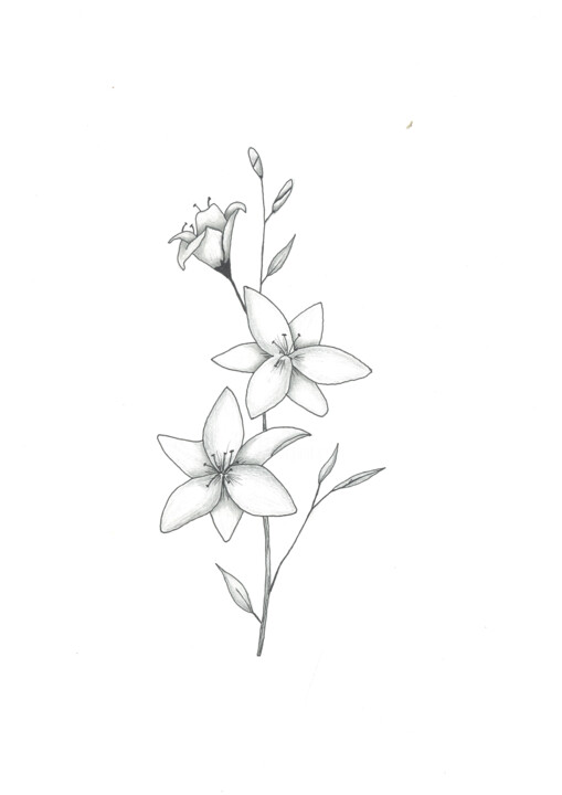 Lys 图画, 11.7x8.3 in