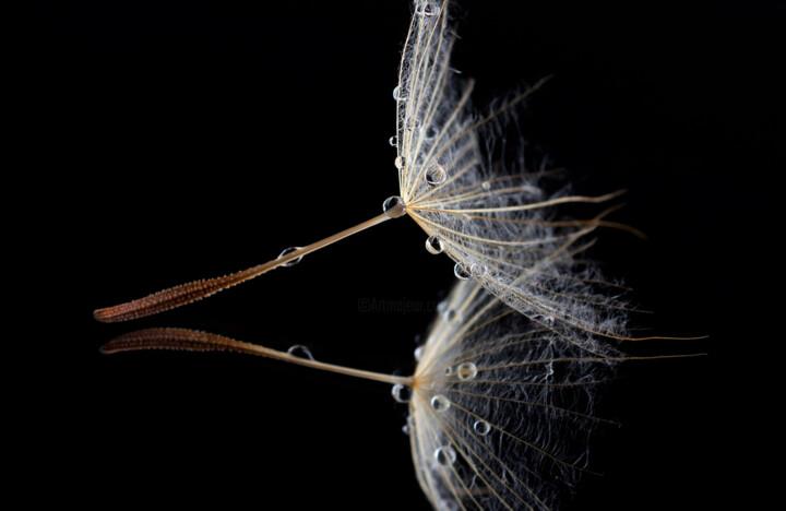 series "Tears" Fotografie