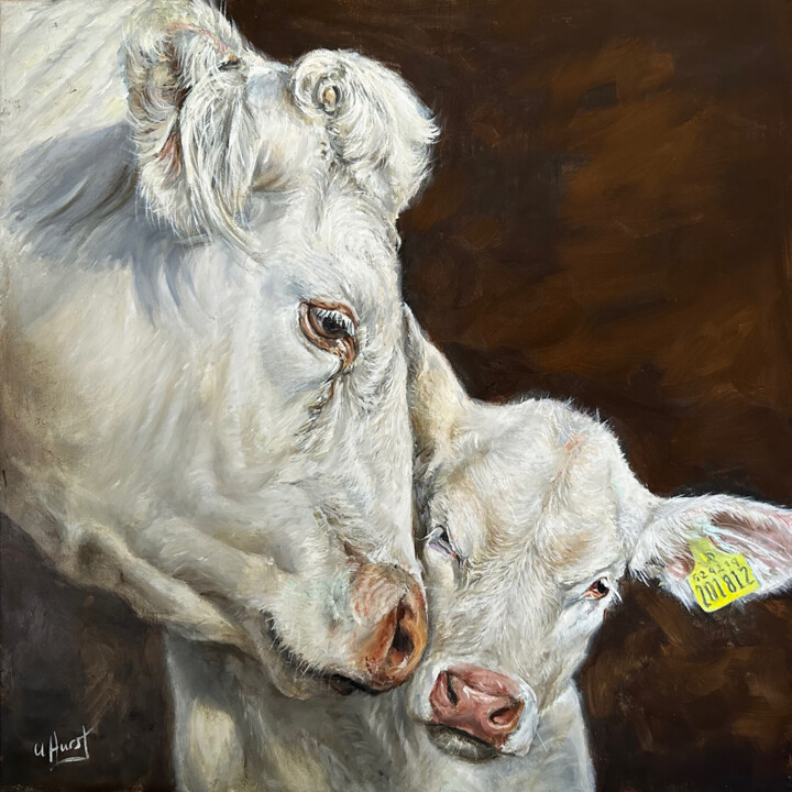 Pintura intitulada "Cow and calf Charol…" por Una Hurst, Obras de arte originais, Óleo
