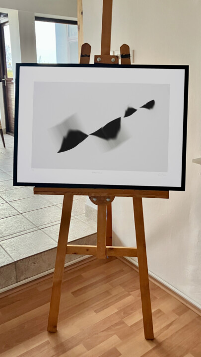 Obra de arte en situación