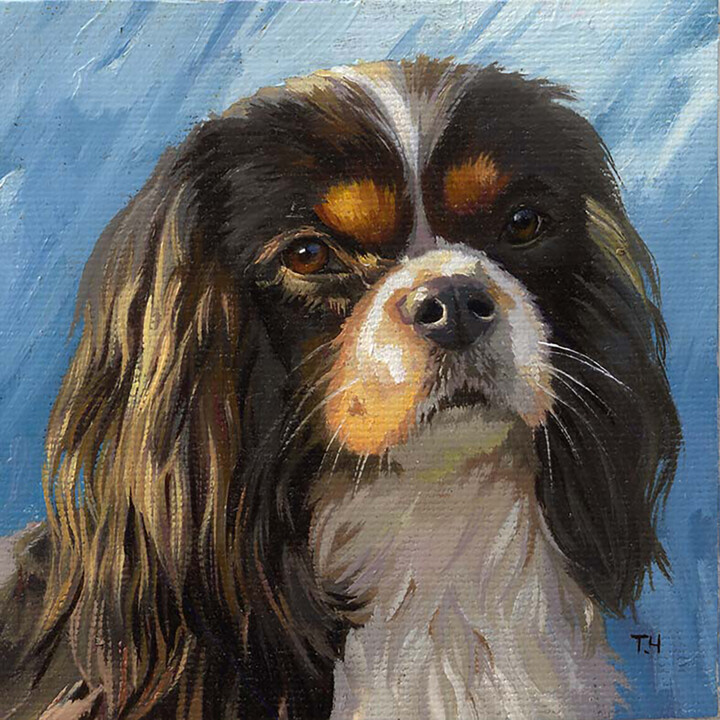 Miniature "Cavalier King Charles Spaniel" 绘画, 3.9x3.9 in