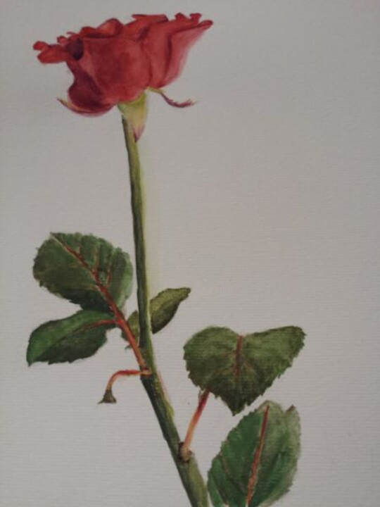 La rose 绘画