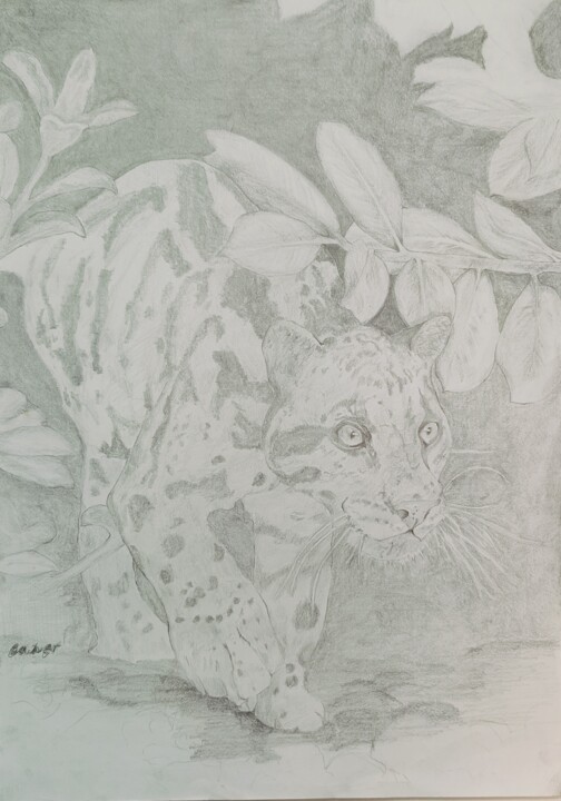 Tekening getiteld "Jaguar" door Caner Ünlü, Origineel Kunstwerk, Potlood