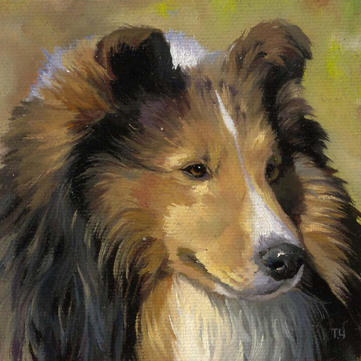 Miniature "Sheltie" 绘画, 3.9x3.9 in