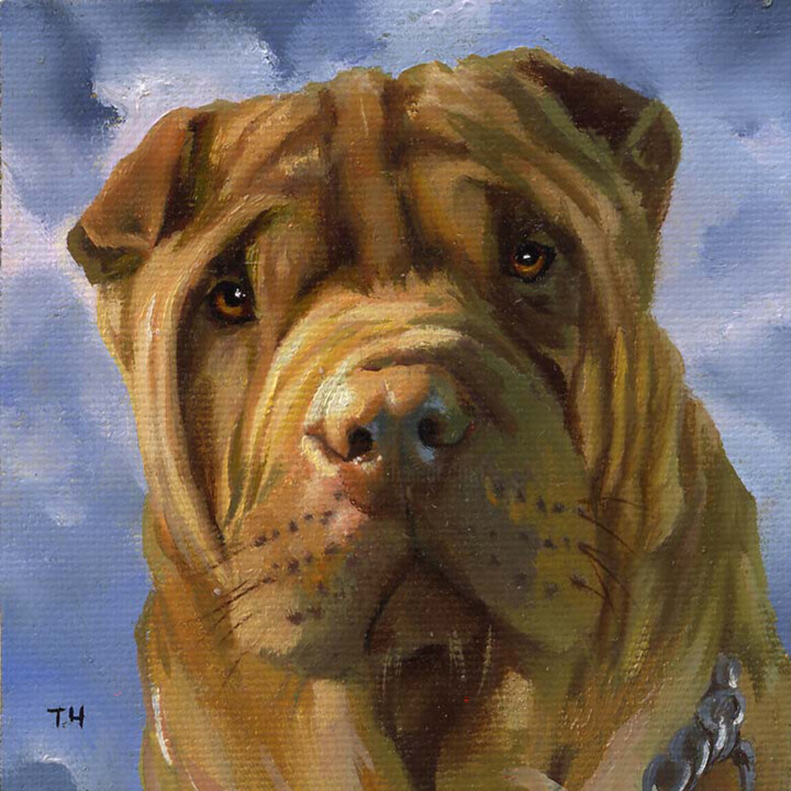 Miniature "Shar Pei" 绘画, 3.9x3.9 in