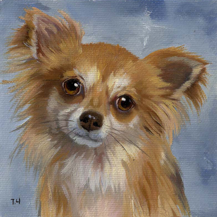 Miniature "Chihuahua longhair" 绘画, 3.9x3.9 in