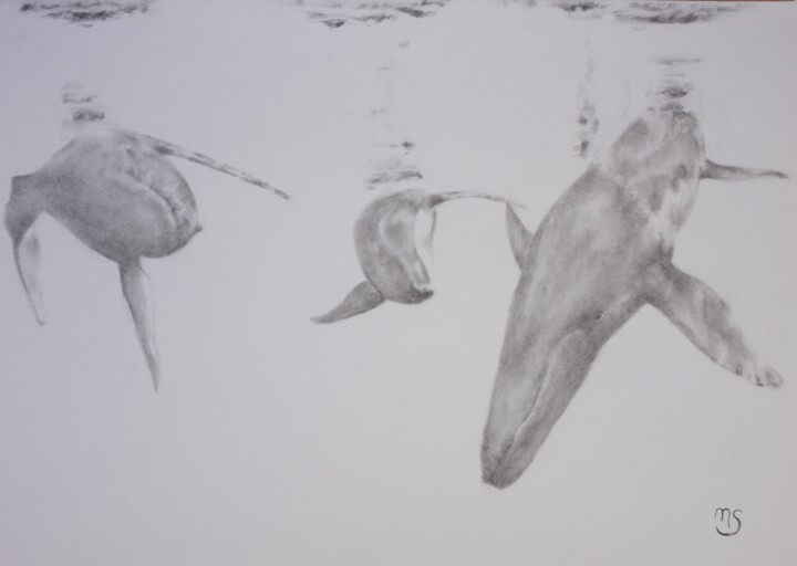 제목이 "Trois baleines"인 그림 Nathalie Setea로, 원작, 숯
