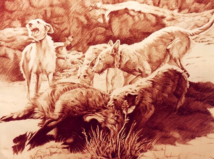 图画,  19.7x29.5 in 