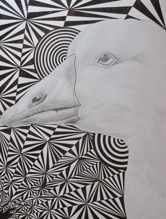 Goose 图画, 25.6x19.7 in