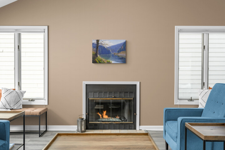 Artwork in situation
