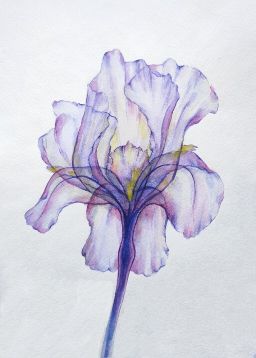 Sincerity ~ Original Watercolor Painting Transparent Iris 绘画, 11.6x8.2 in