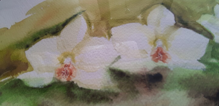 Additional views 3