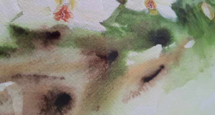 Additional views 4