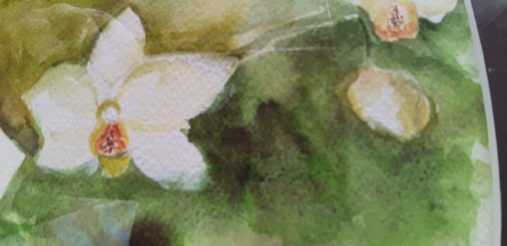 Additional views 5