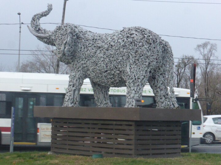 Un éléphant à Longueuil, Québec 摄影