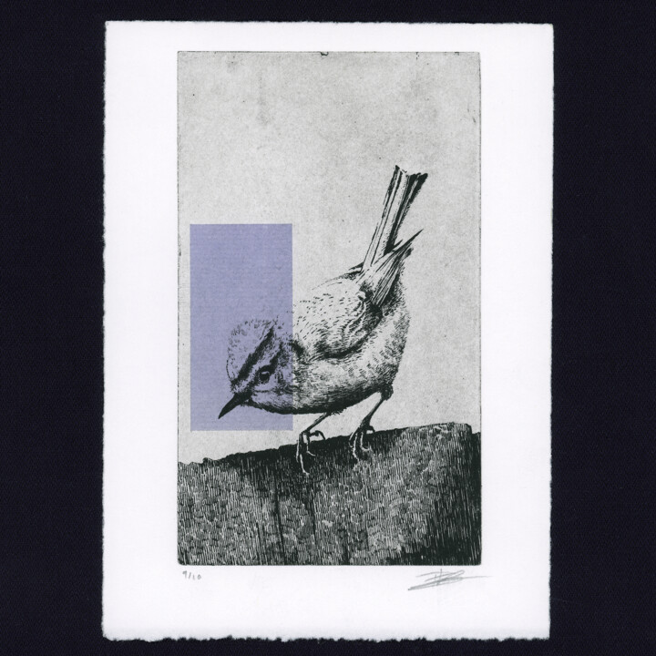 Gravures & estampes intitulée "The Firecrest - Gra…" par Clement Scarpi, Œuvre d'art originale, Gravure