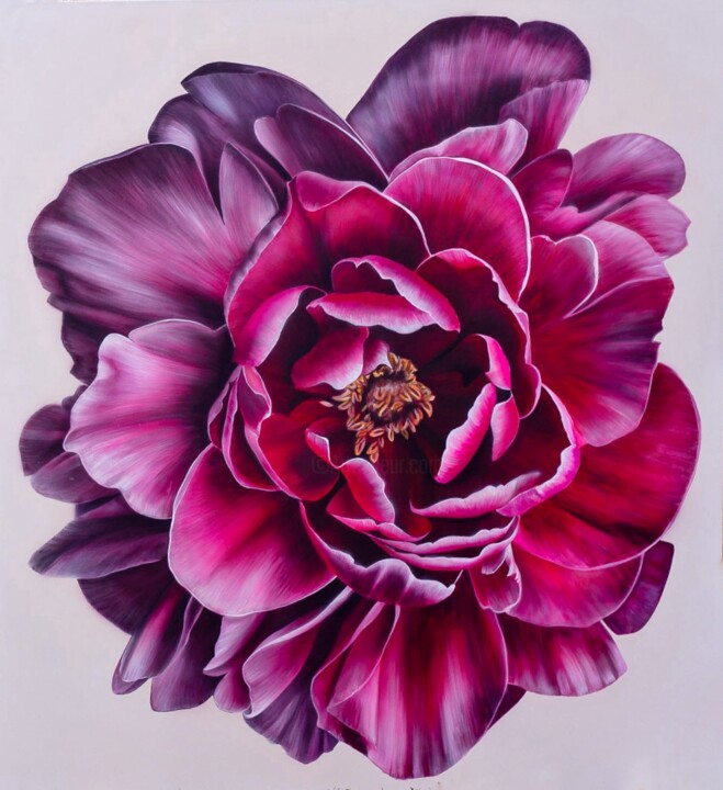 Peony painting, flower art Pittura, 63x59,1 in