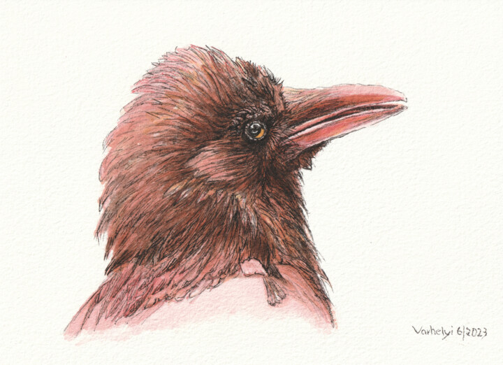 Rabenvogel 16 "Aufgeplustert" 图画, 5.1x7.1 in