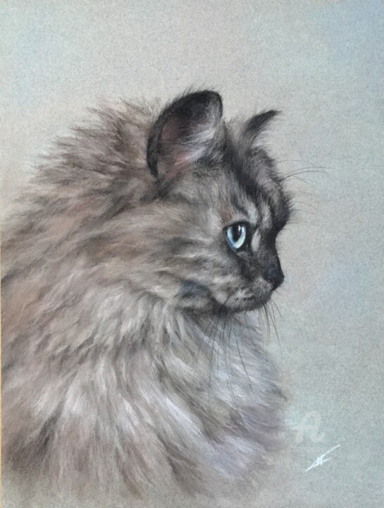 Resim,  13x9,8 in 