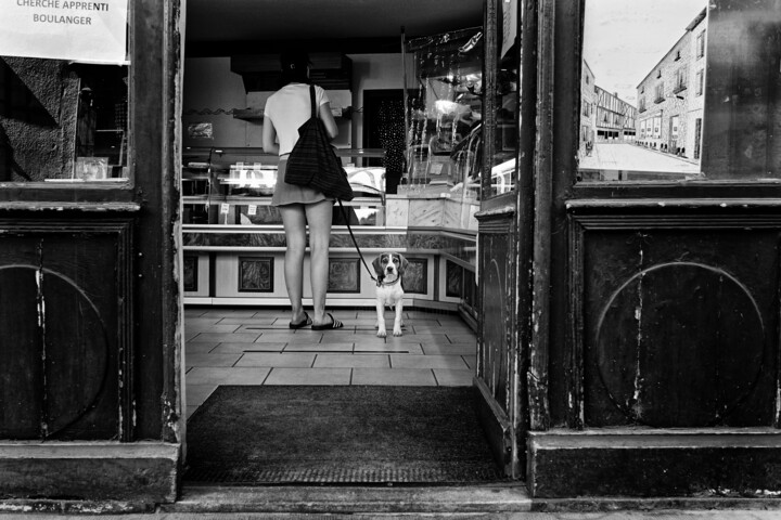 Fotografie mit dem Titel "puppy eyes" von David Page, Original-Kunstwerk, Digitale Fotografie
